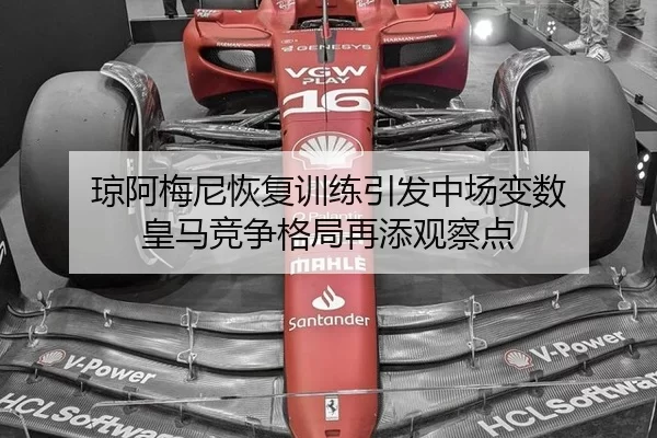 琼阿梅尼恢复训练引发中场变数 皇马竞争格局再添观察点